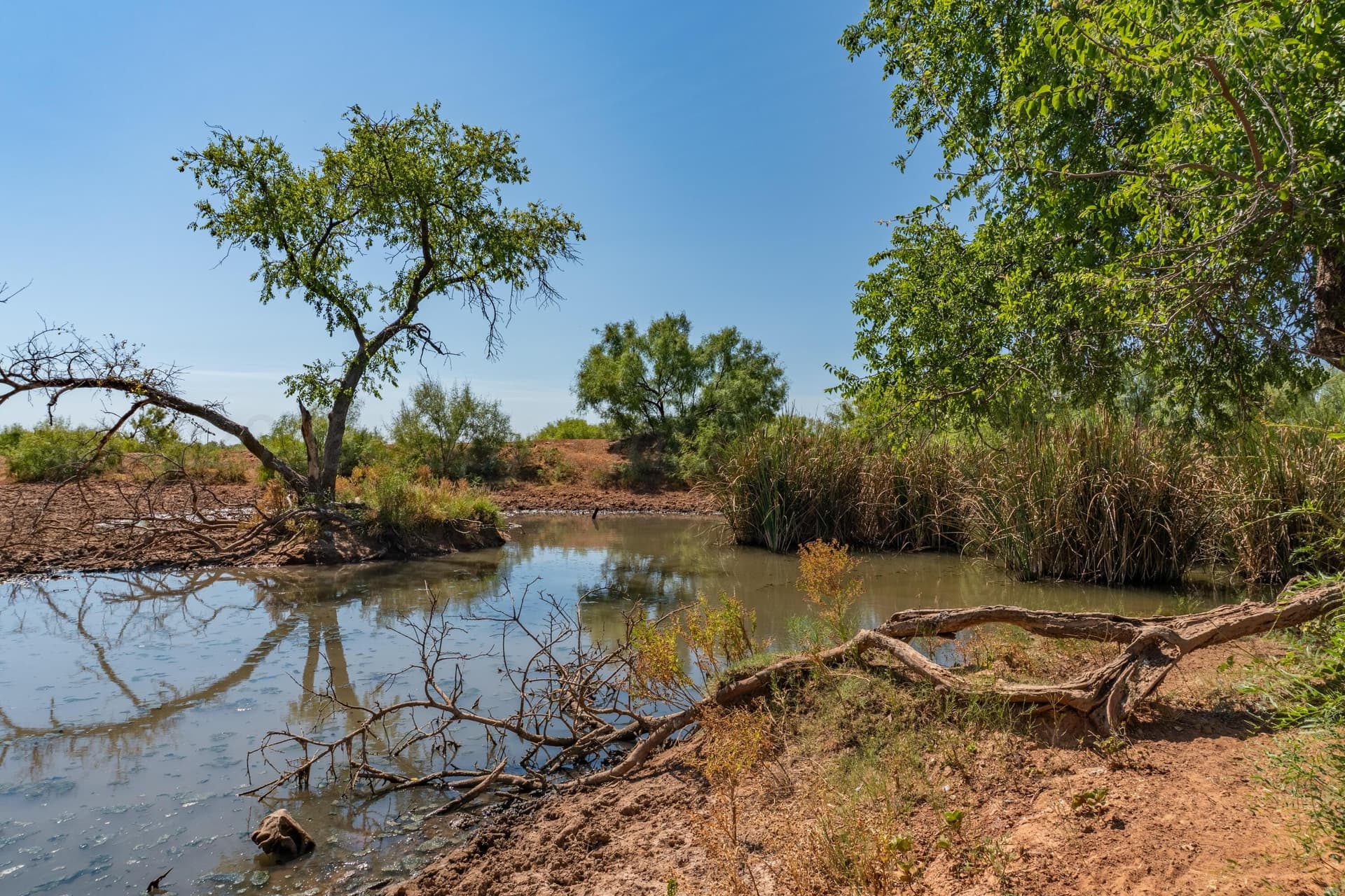 505 acres in Childress County - photo 32