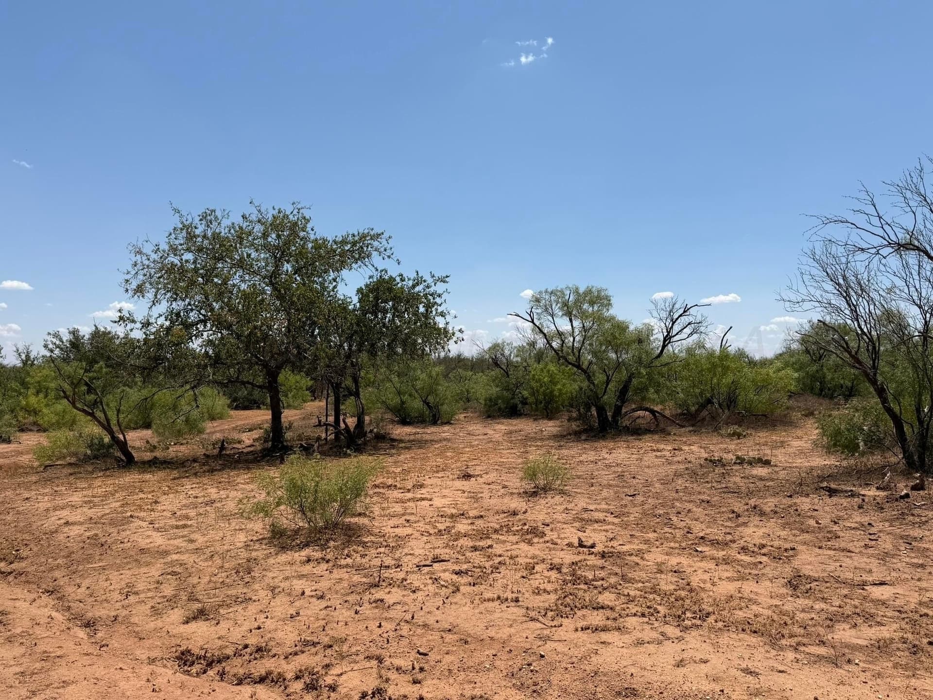 505 acres in Childress County - photo 38