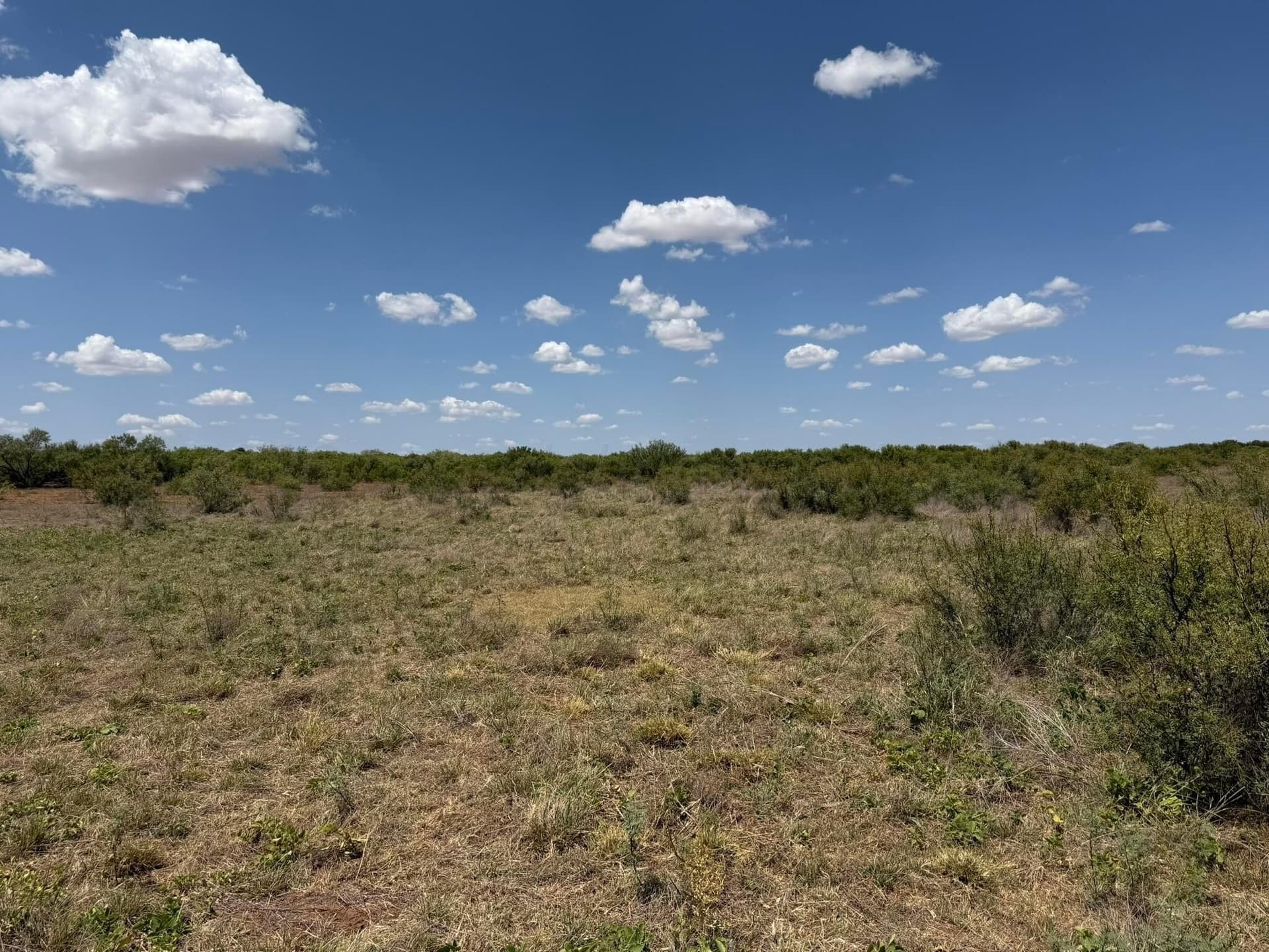 505 acres in Childress County - photo 40
