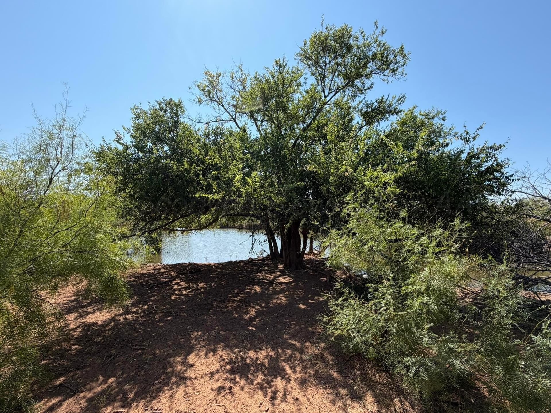 505 acres in Childress County - photo 31