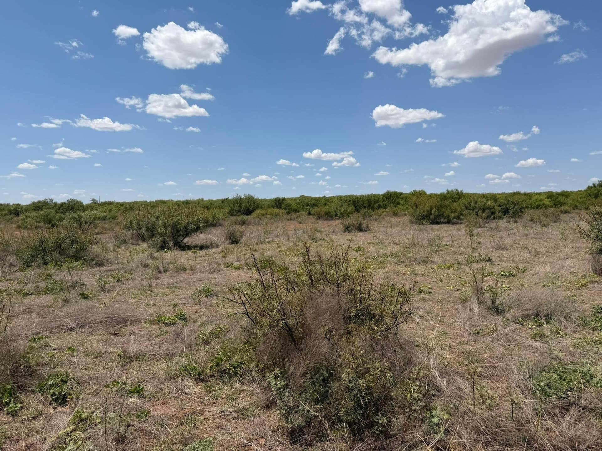 505 acres in Childress County - photo 39