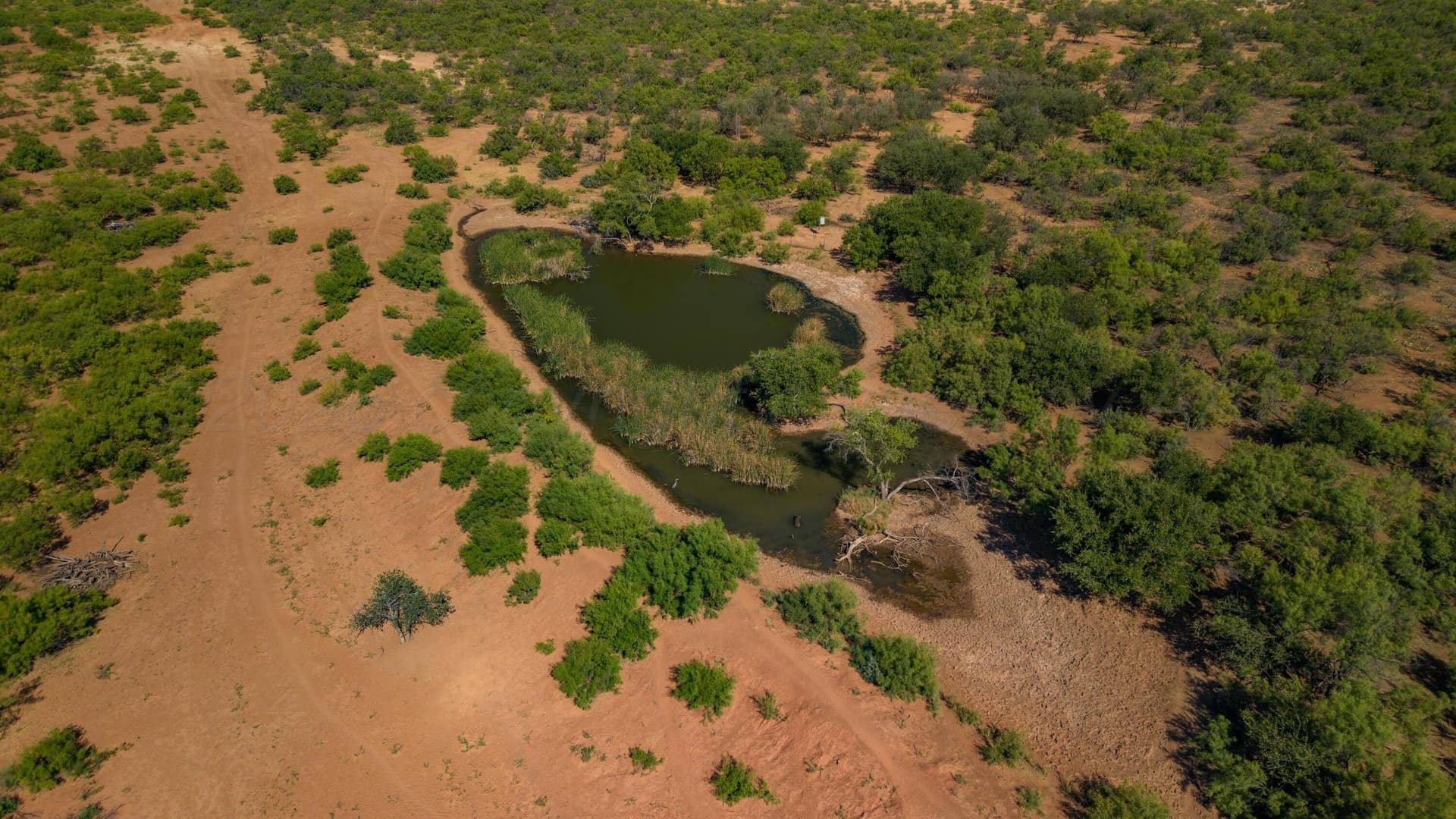 505 acres in Childress County - photo 27