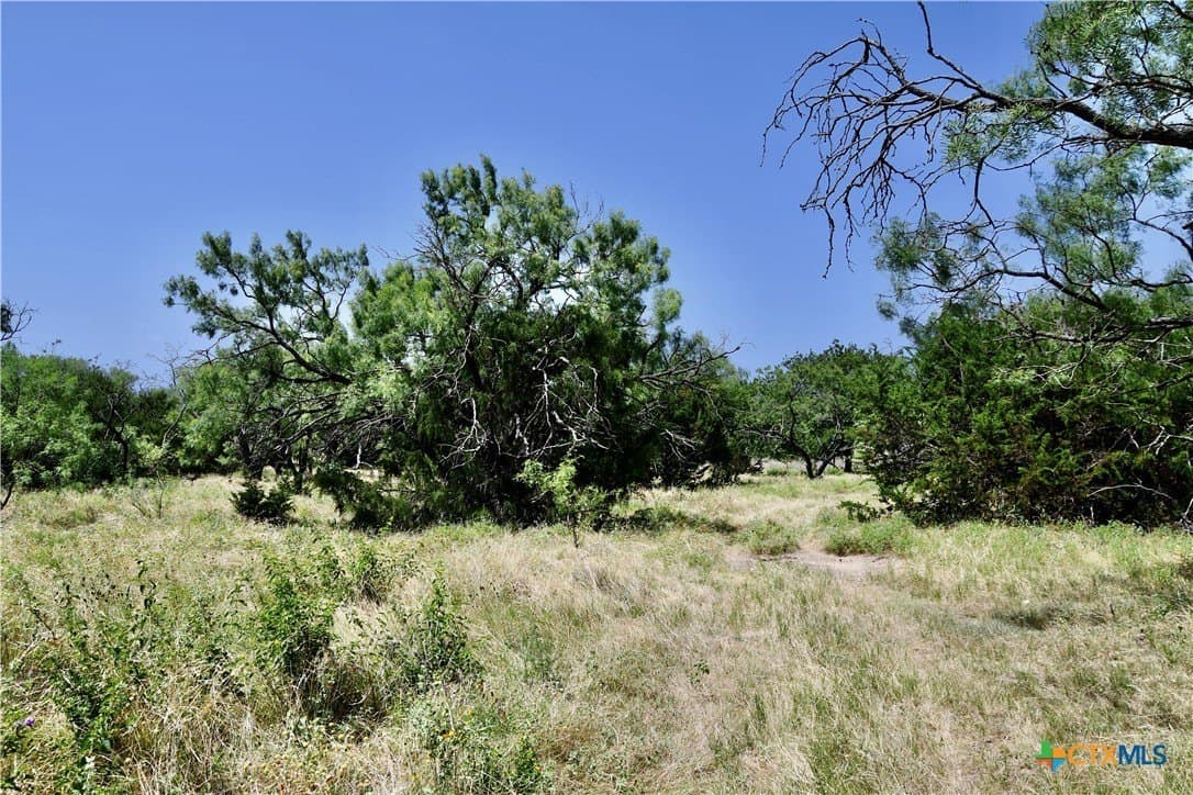 55 acres in Lampasas County - photo 20