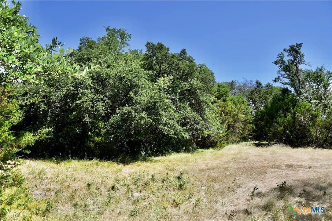 55 acres in Lampasas County - photo 6