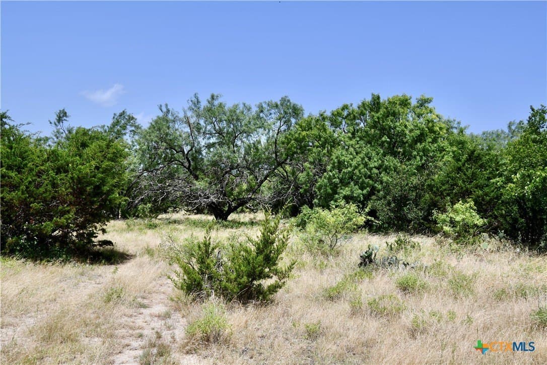 55 acres in Lampasas County - photo 18