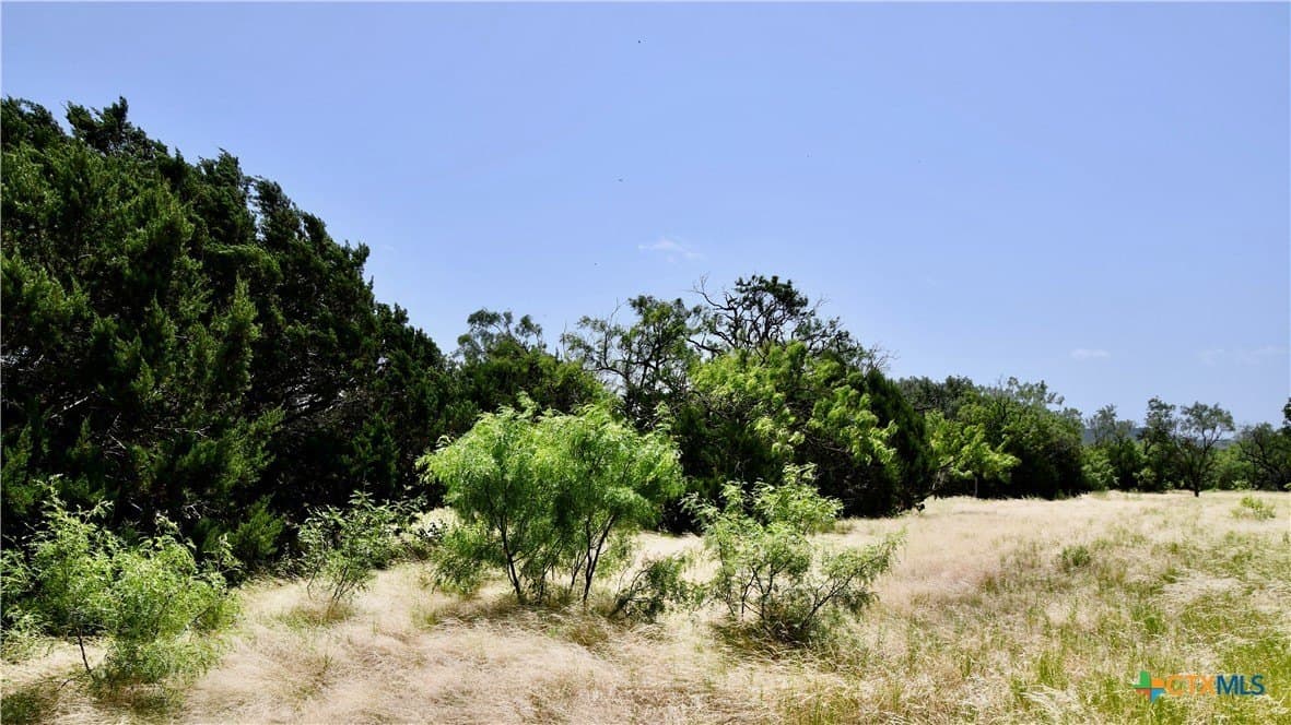 55 acres in Lampasas County - photo 24