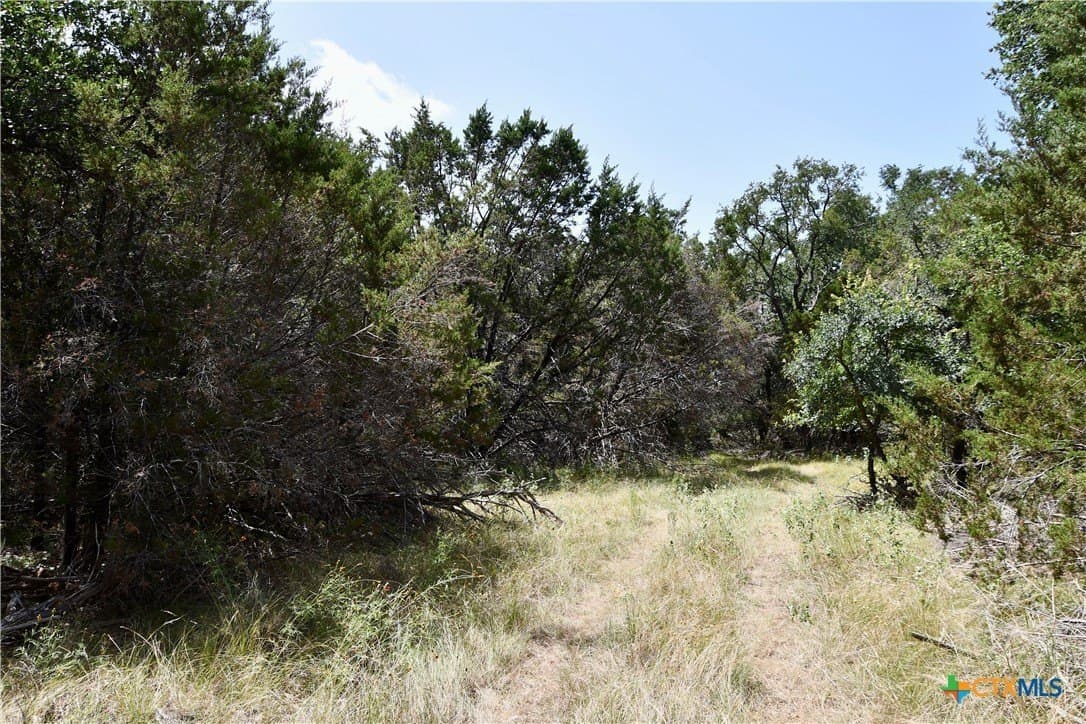 55 acres in Lampasas County - photo 8