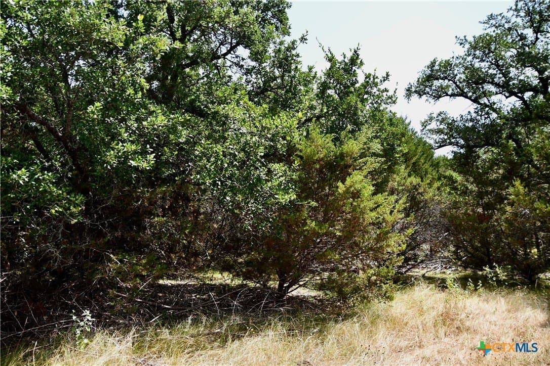 55 acres in Lampasas County - photo 7