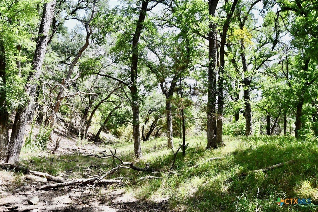 55 acres in Lampasas County - photo 38