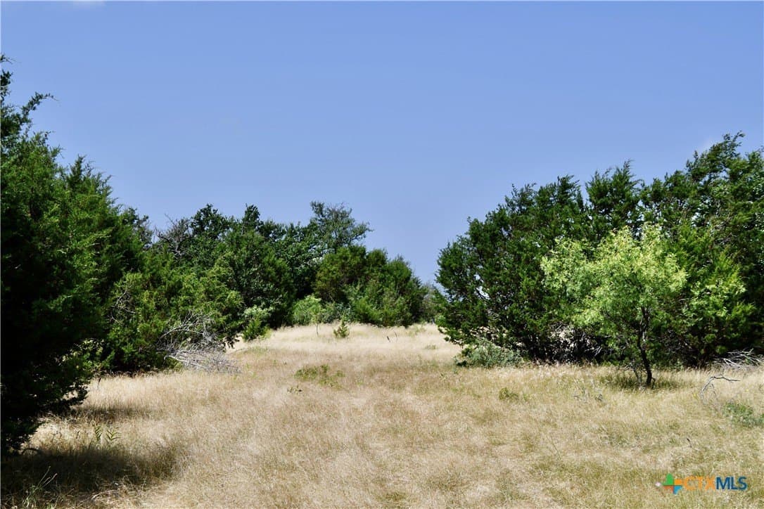 55 acres in Lampasas County gallery image 4