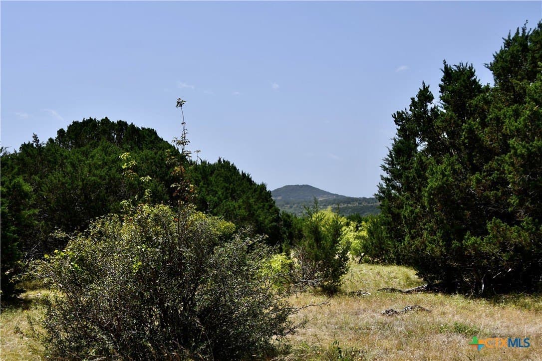 55 acres in Lampasas County - photo 11