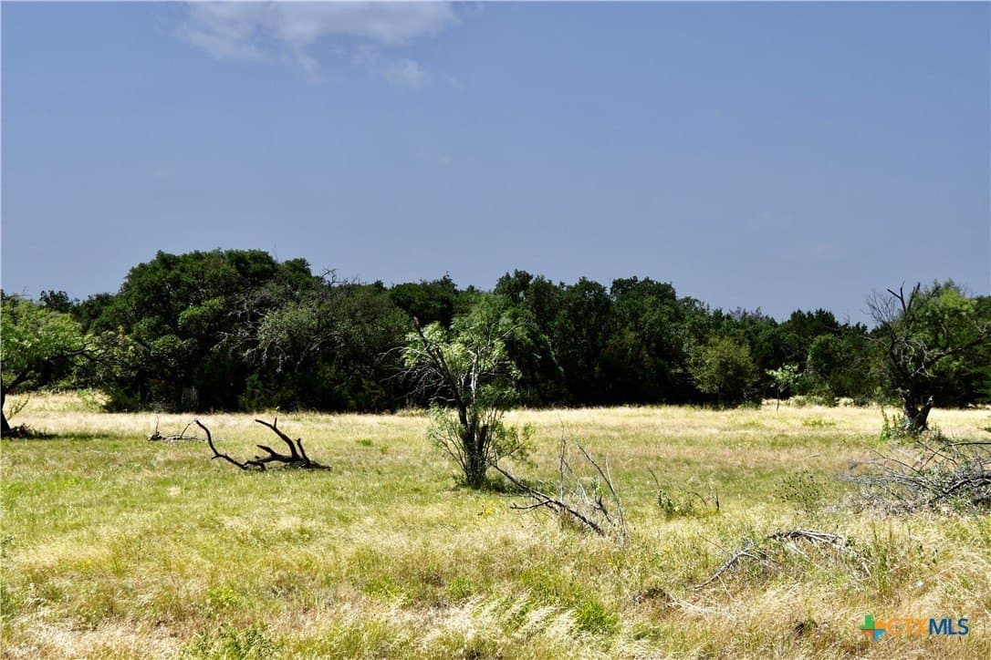 55 acres in Lampasas County gallery image 2