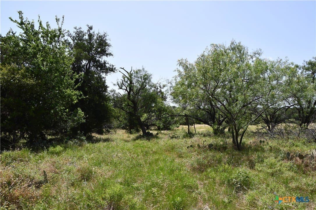 55 acres in Lampasas County - photo 26