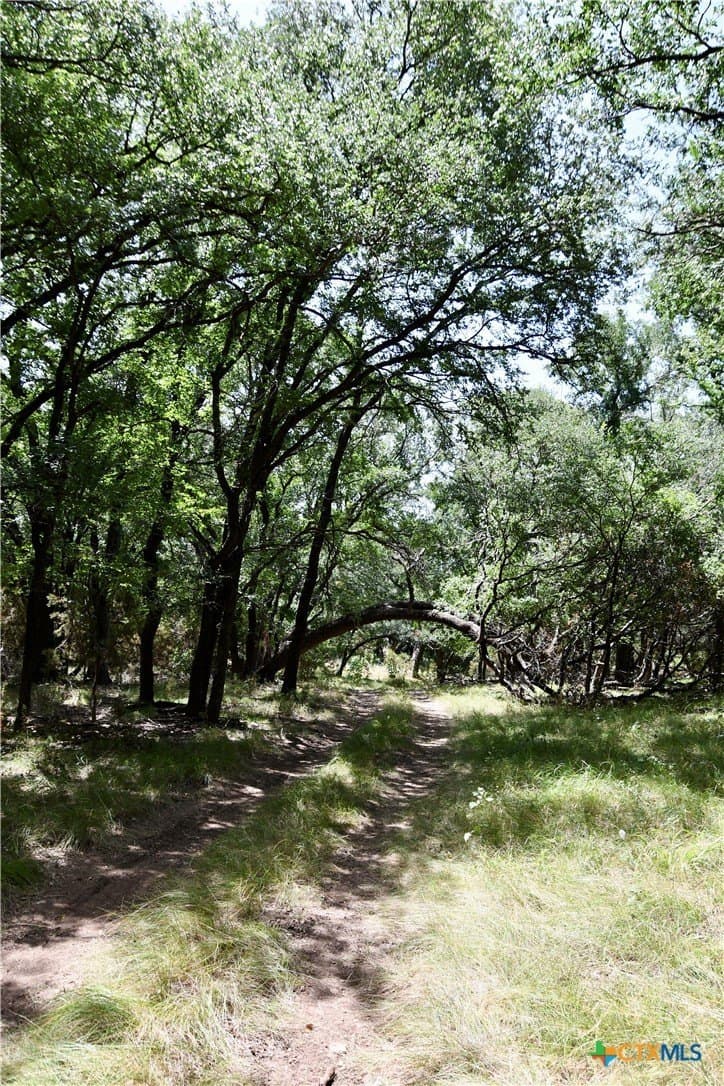 55 acres in Lampasas County - photo 33