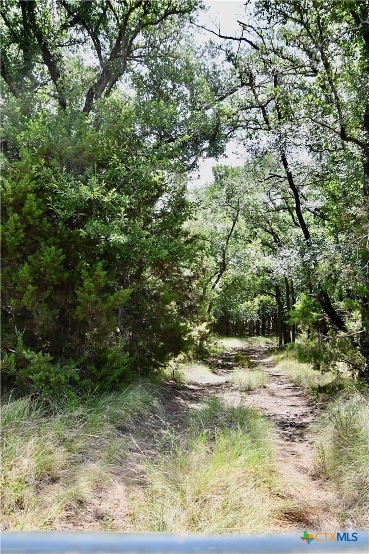 55 acres in Lampasas County - photo 31