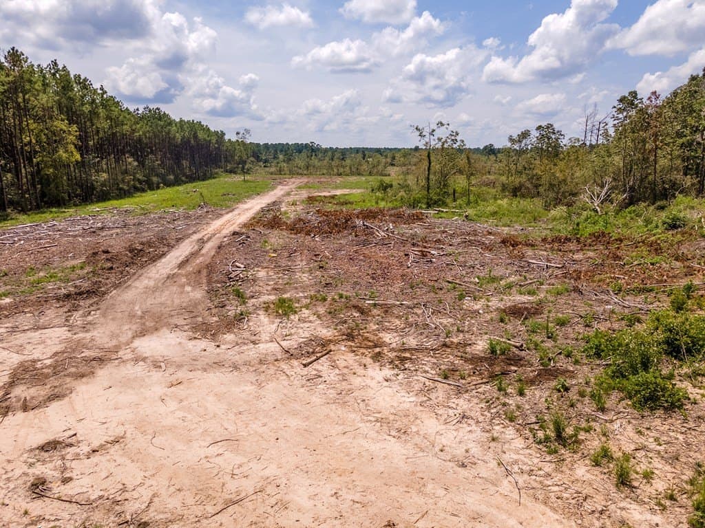 10.3 acres in Texas County - photo 12