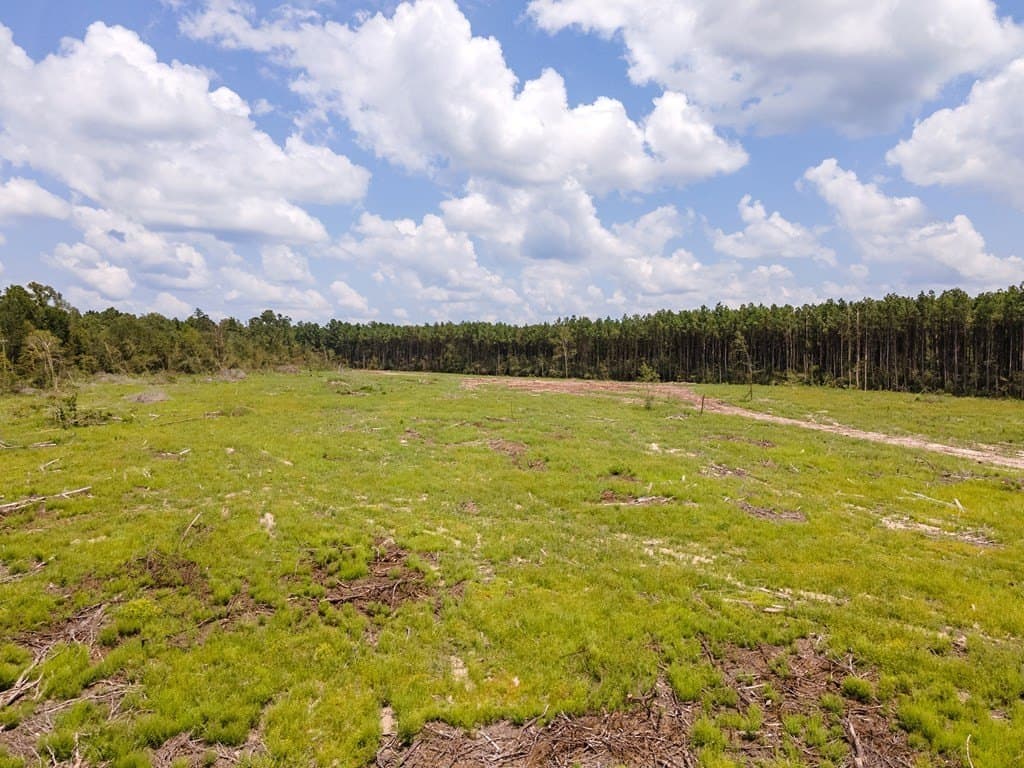 10.3 acres in Texas County - photo 7