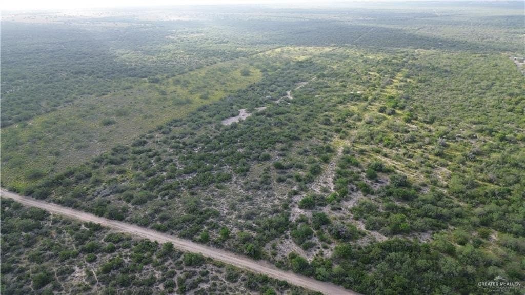 24 acres in Zapata County gallery image 3