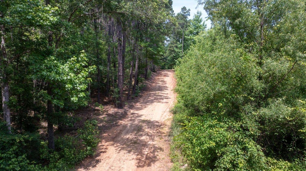 10 acres in Texas County - photo 11