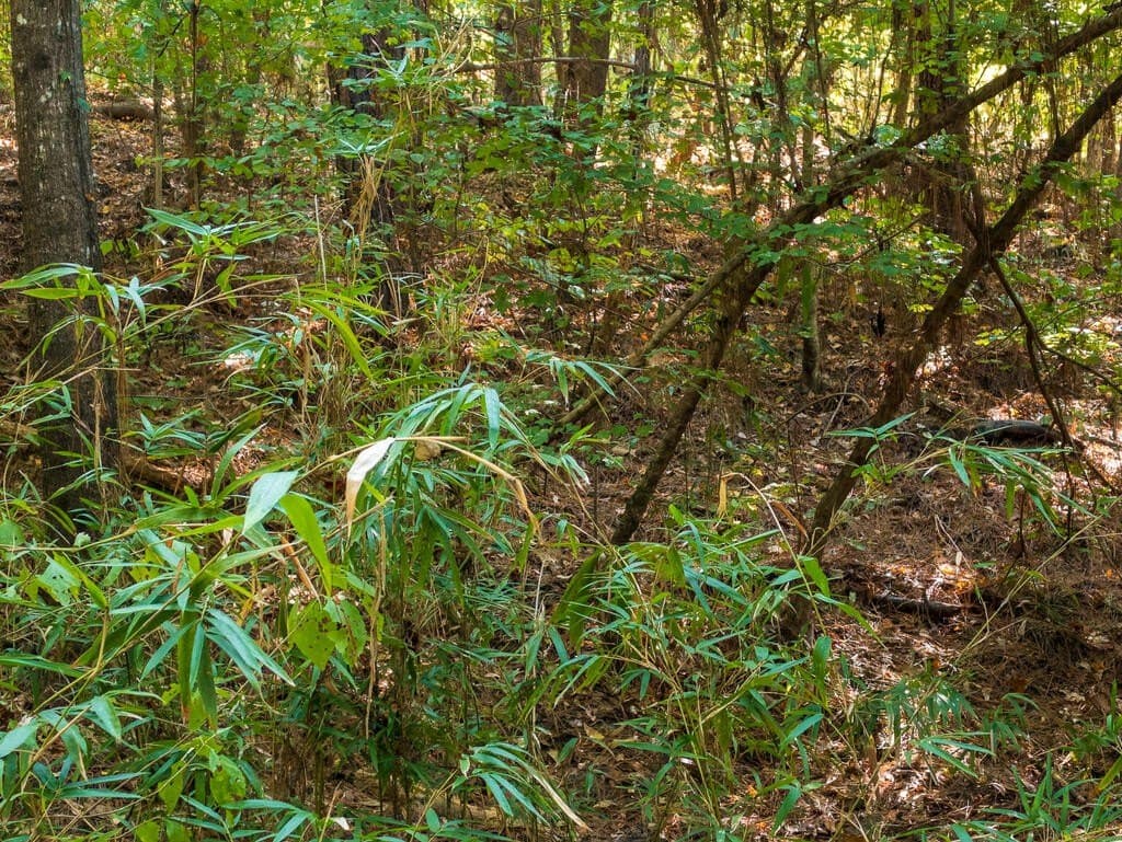 10 acres in Texas County - photo 24