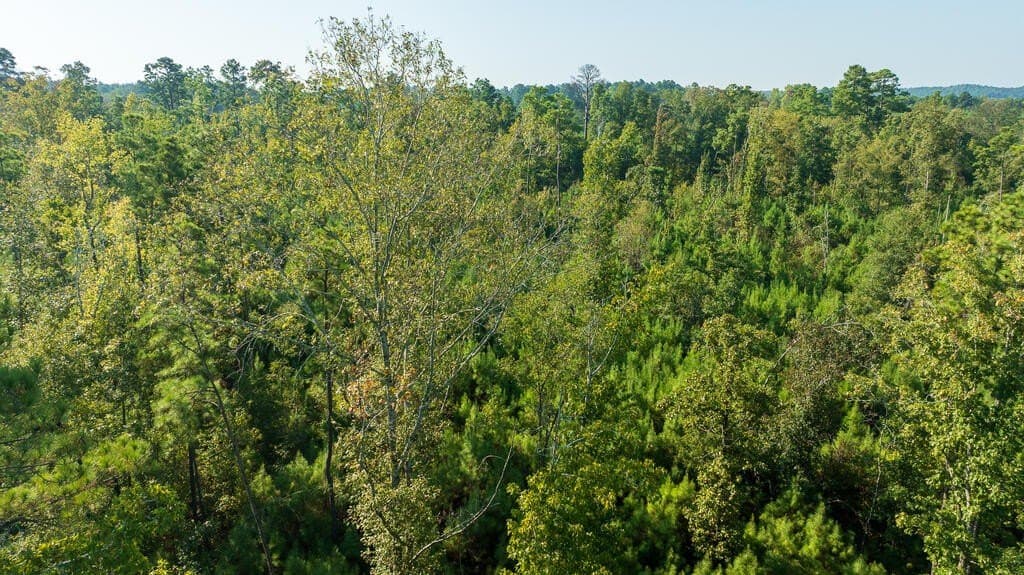 10 acres in Texas County - photo 7