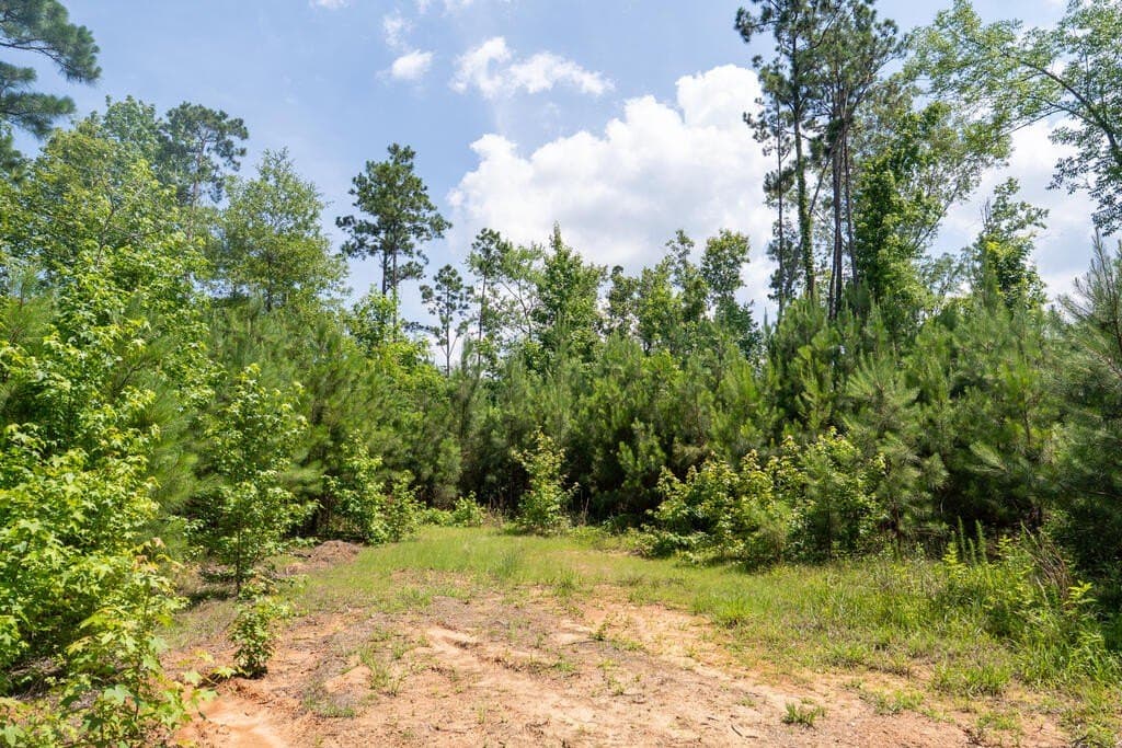 10 acres in Texas County - photo 17
