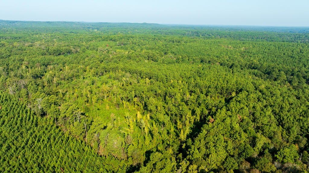 10 acres in Texas County - photo 3