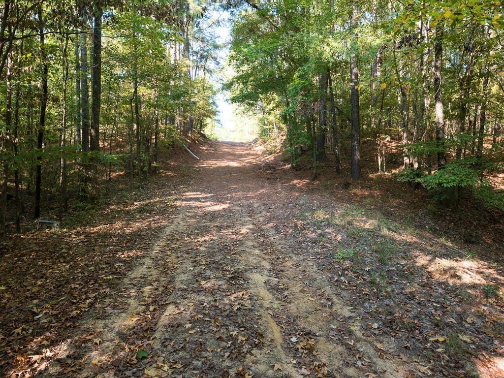 10 acres in Texas County - photo 21
