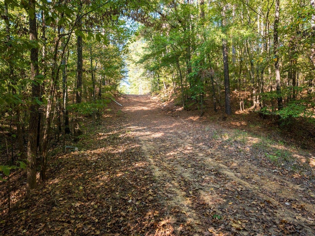 10 acres in Texas County - photo 22