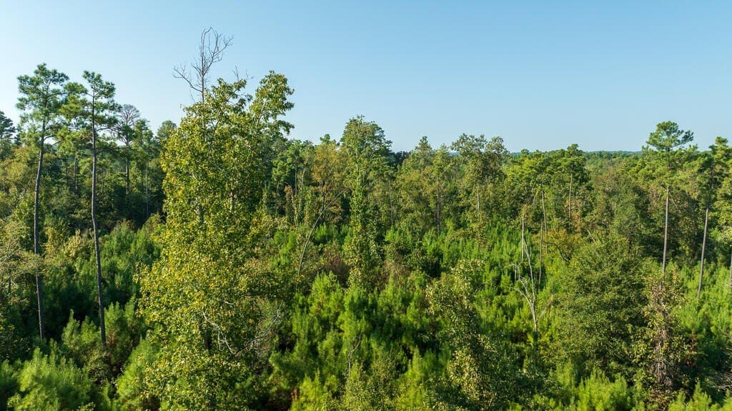 10 acres in Texas County - photo 8