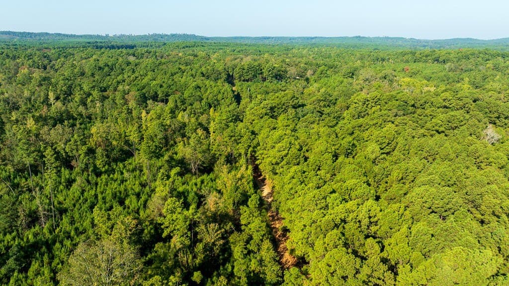 10 acres in Texas County - photo 6