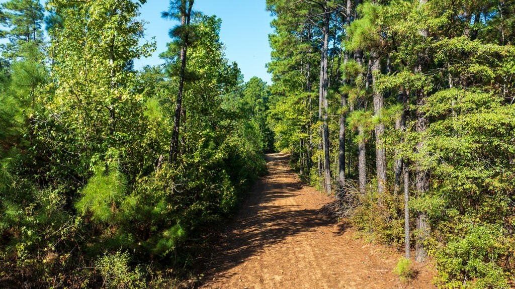 10 acres in Texas County - photo 10