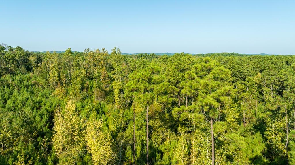10 acres in Texas County - photo 5