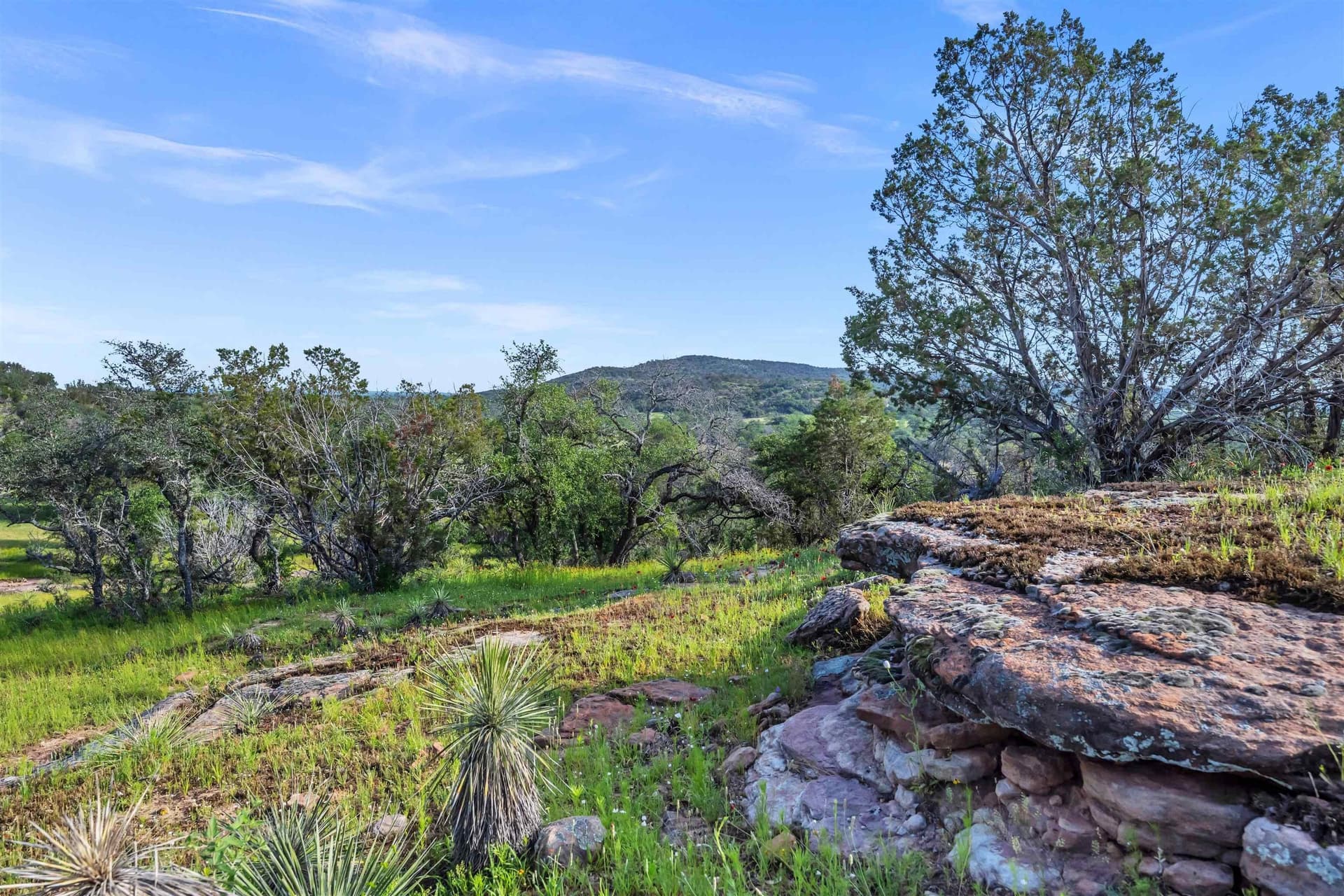 250.4 acres in Llano County - photo 18