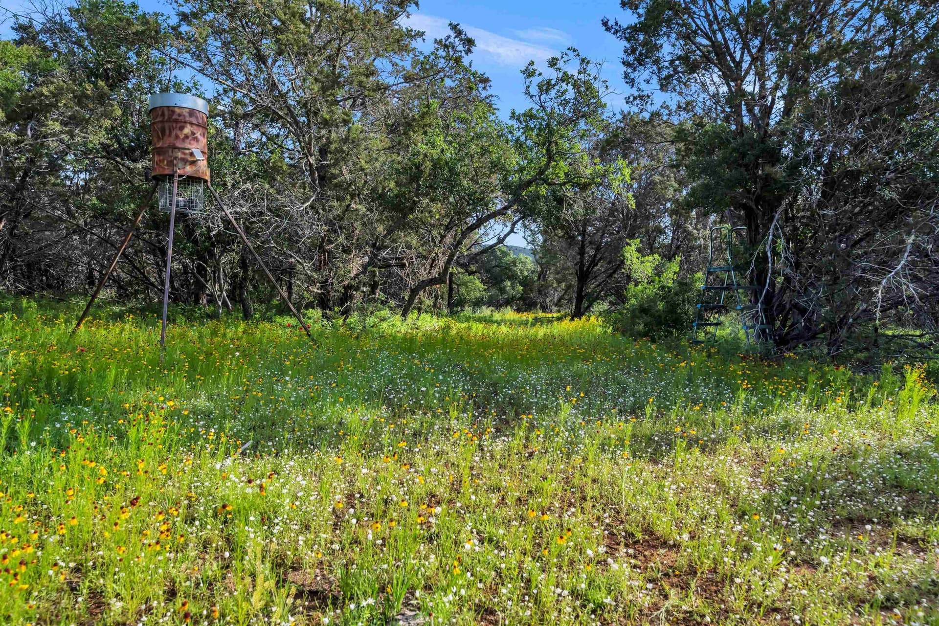 250.4 acres in Llano County - photo 20