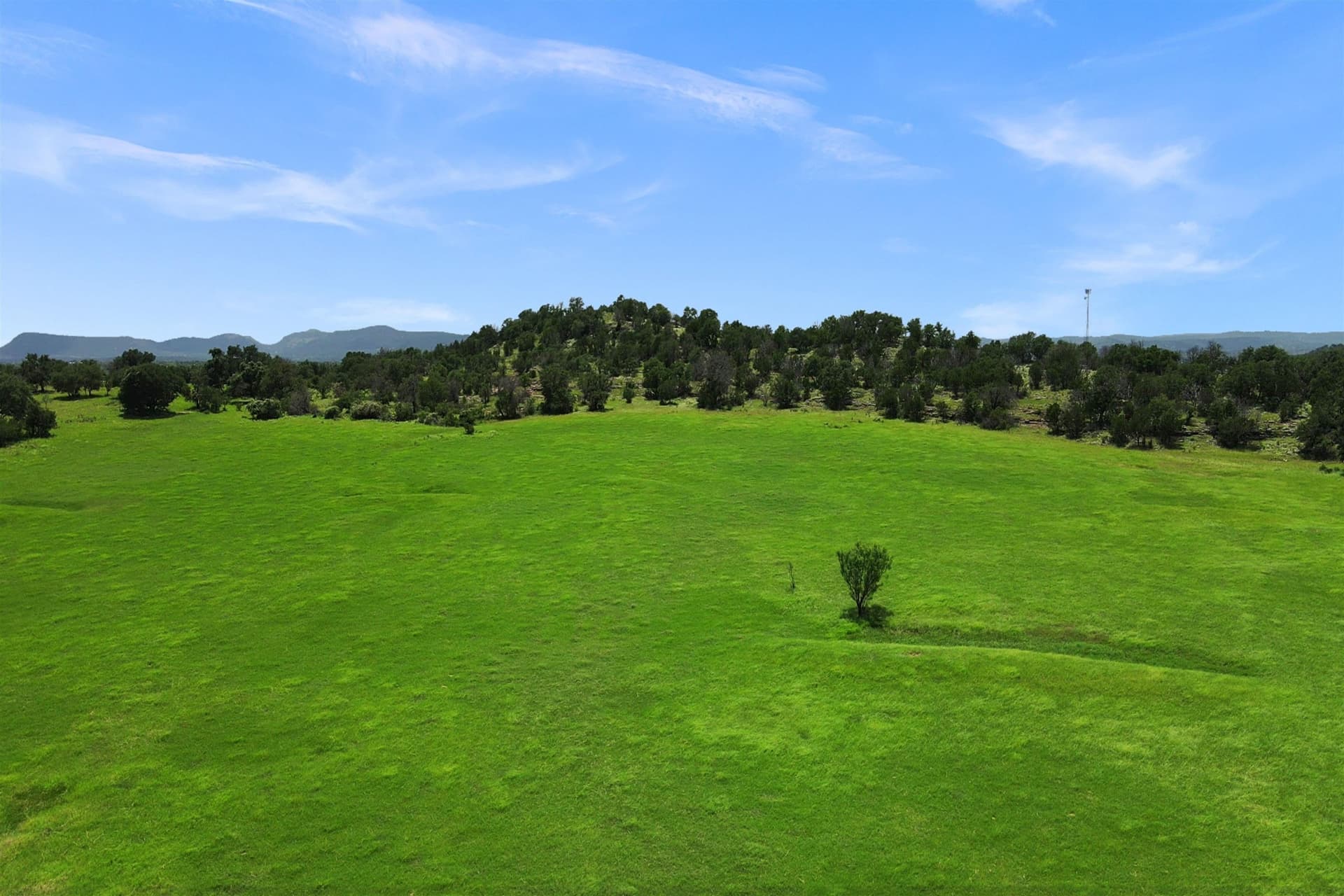 250.4 acres in Llano County - photo 7