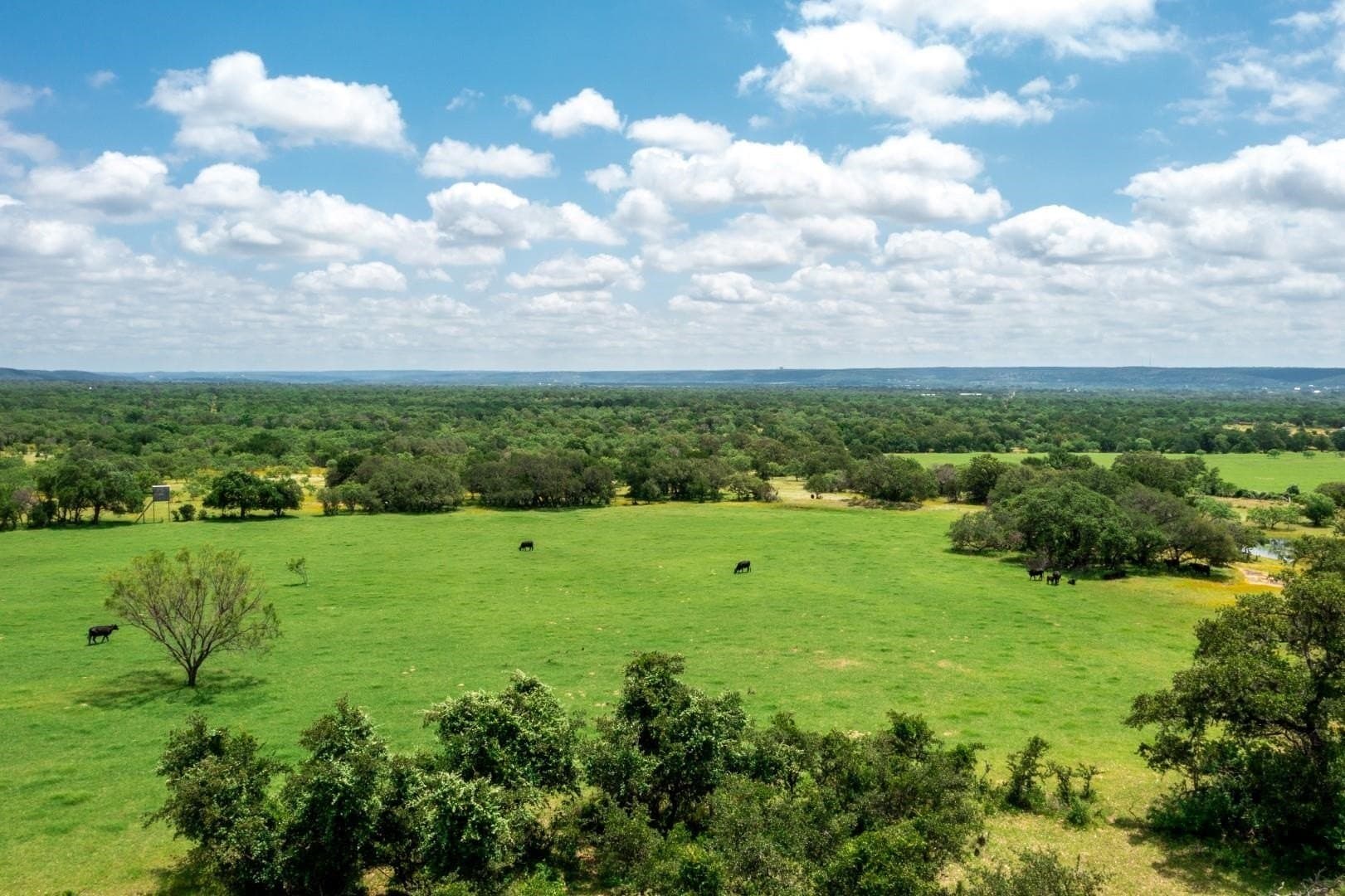 250.4 acres in Llano County - photo 26