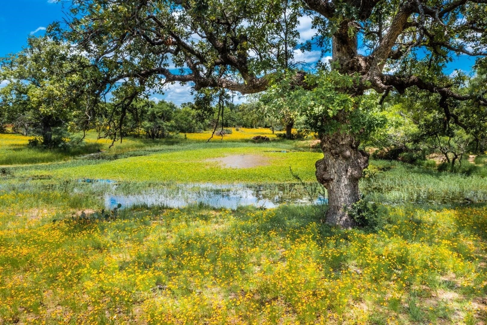 250.4 acres in Llano County - photo 30