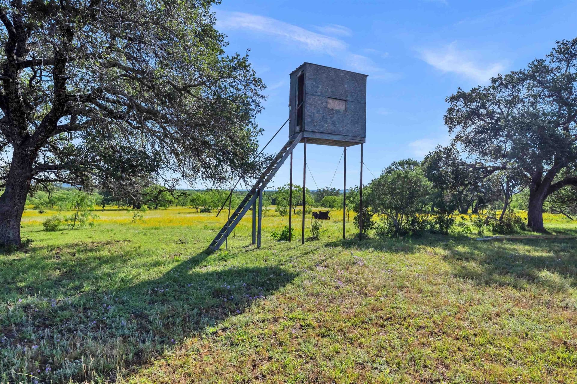 250.4 acres in Llano County - photo 21