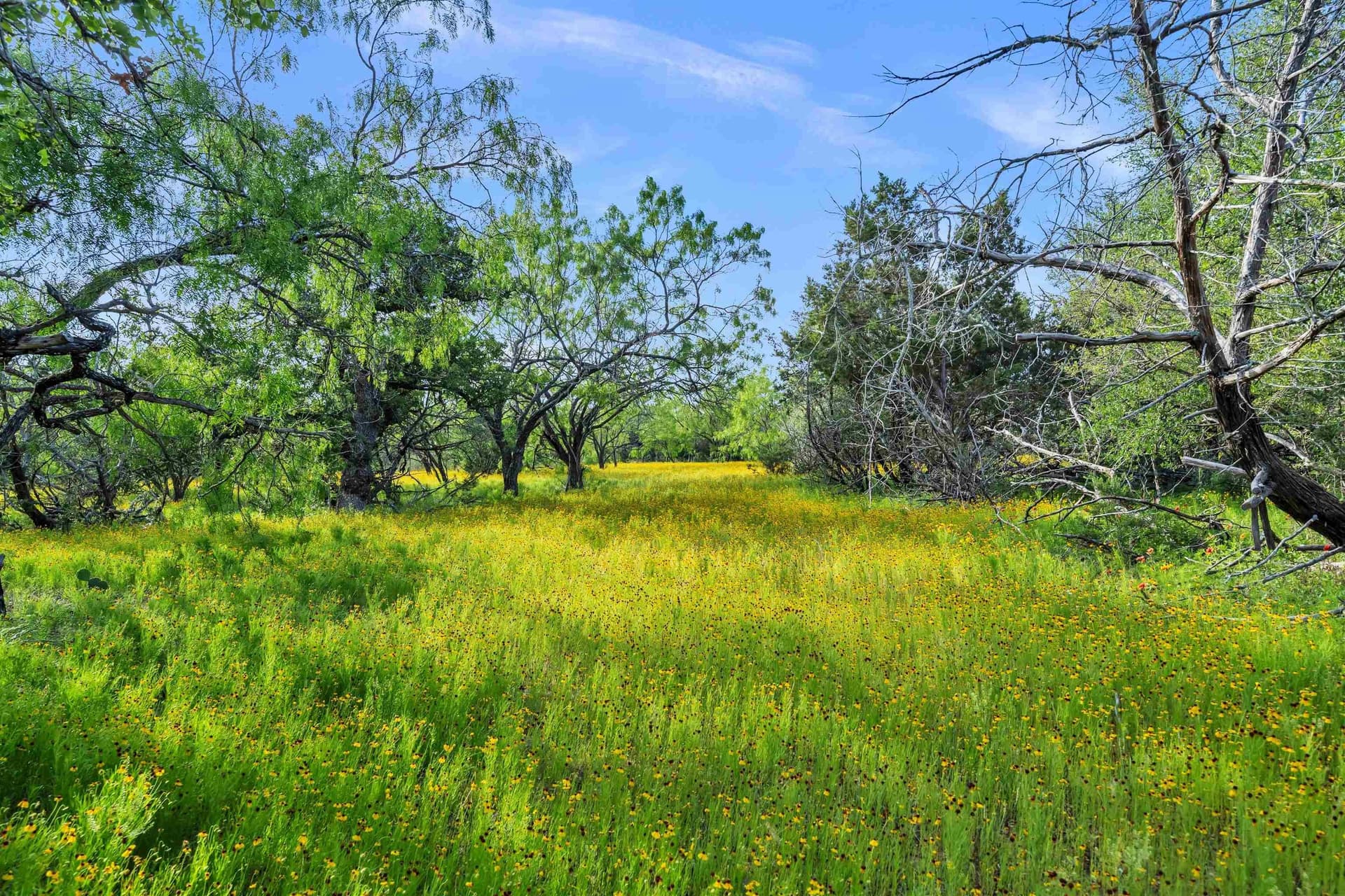 250.4 acres in Llano County - photo 33
