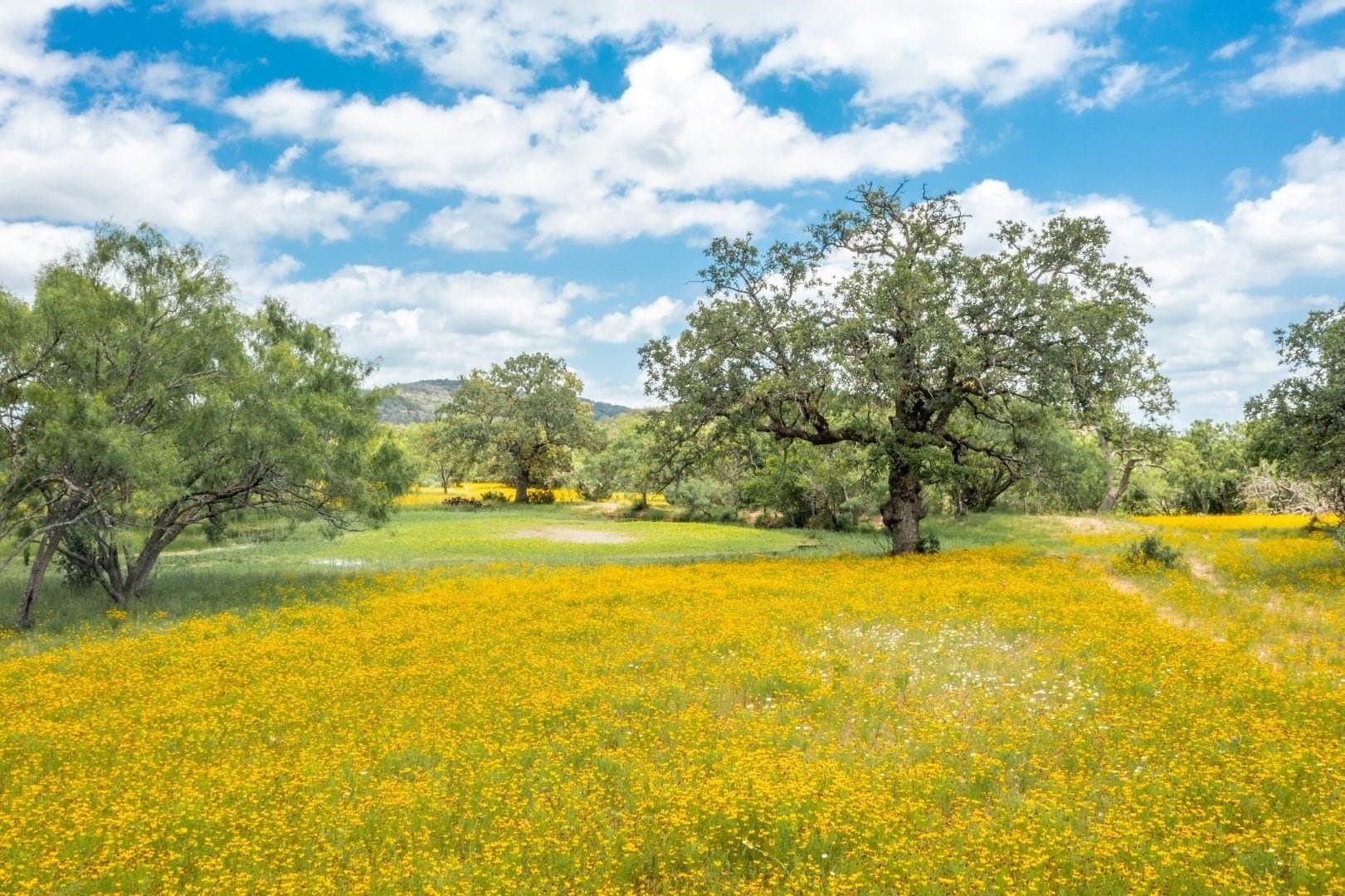 250.4 acres in Llano County - photo 32