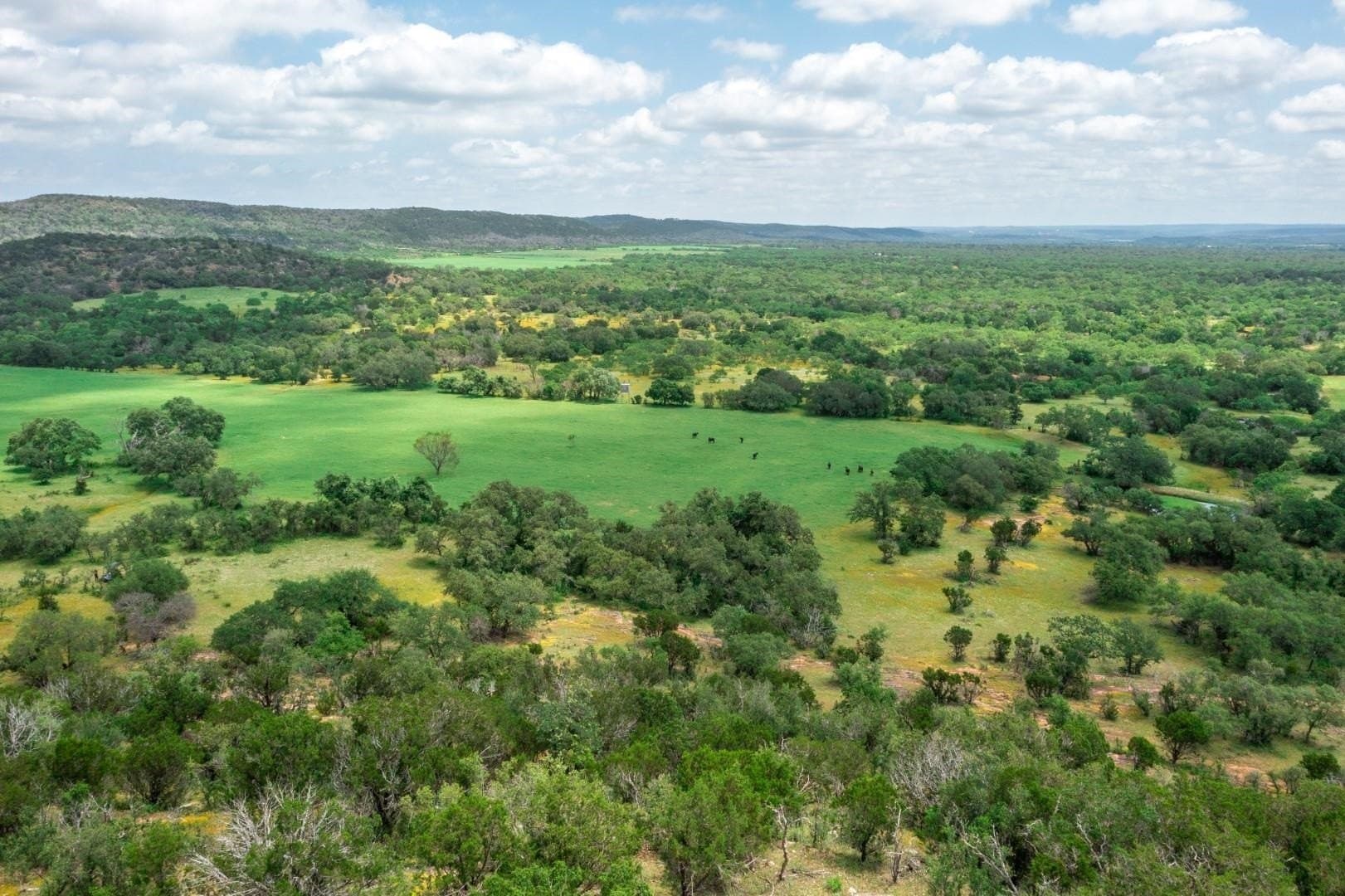 250.4 acres in Llano County - photo 27