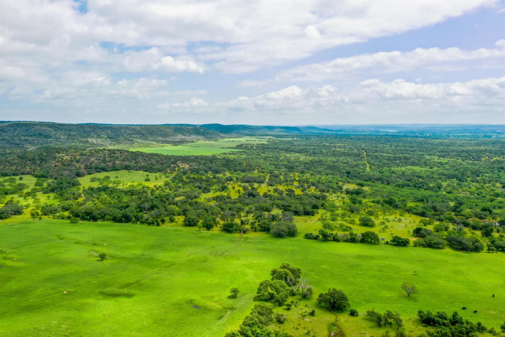 250.4 acres in Llano County - photo 8