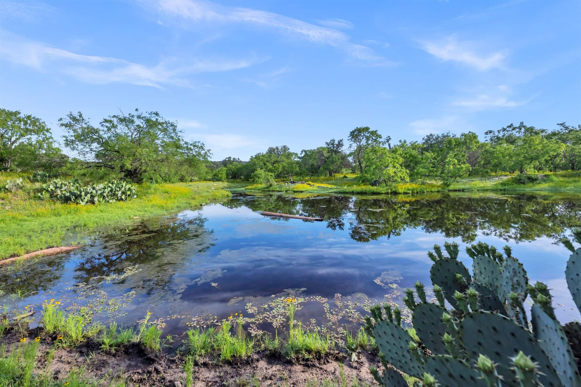 250.4 acres in Llano County - photo 17