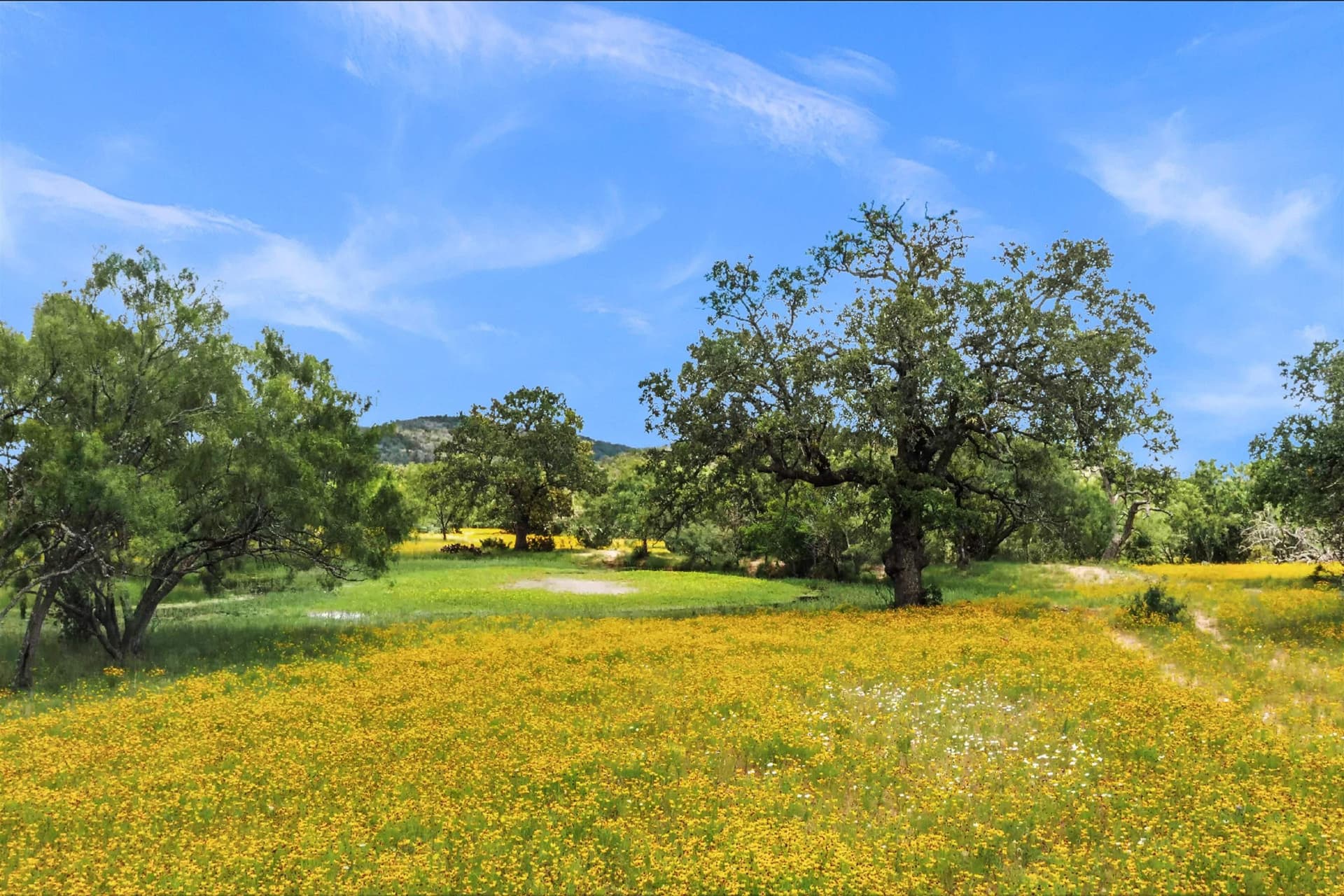 250.4 acres in Llano County - photo 15