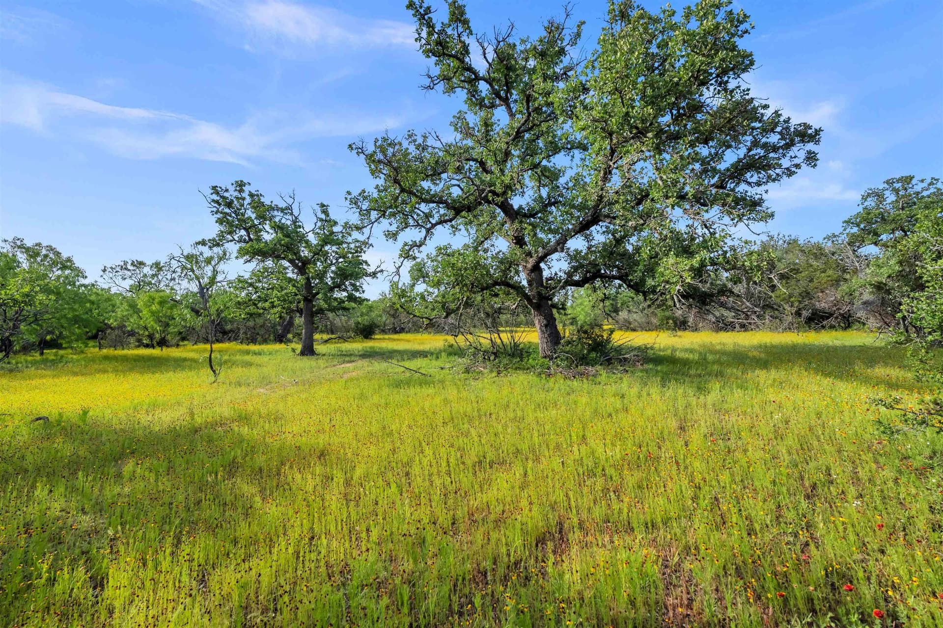 250.4 acres in Llano County - photo 19