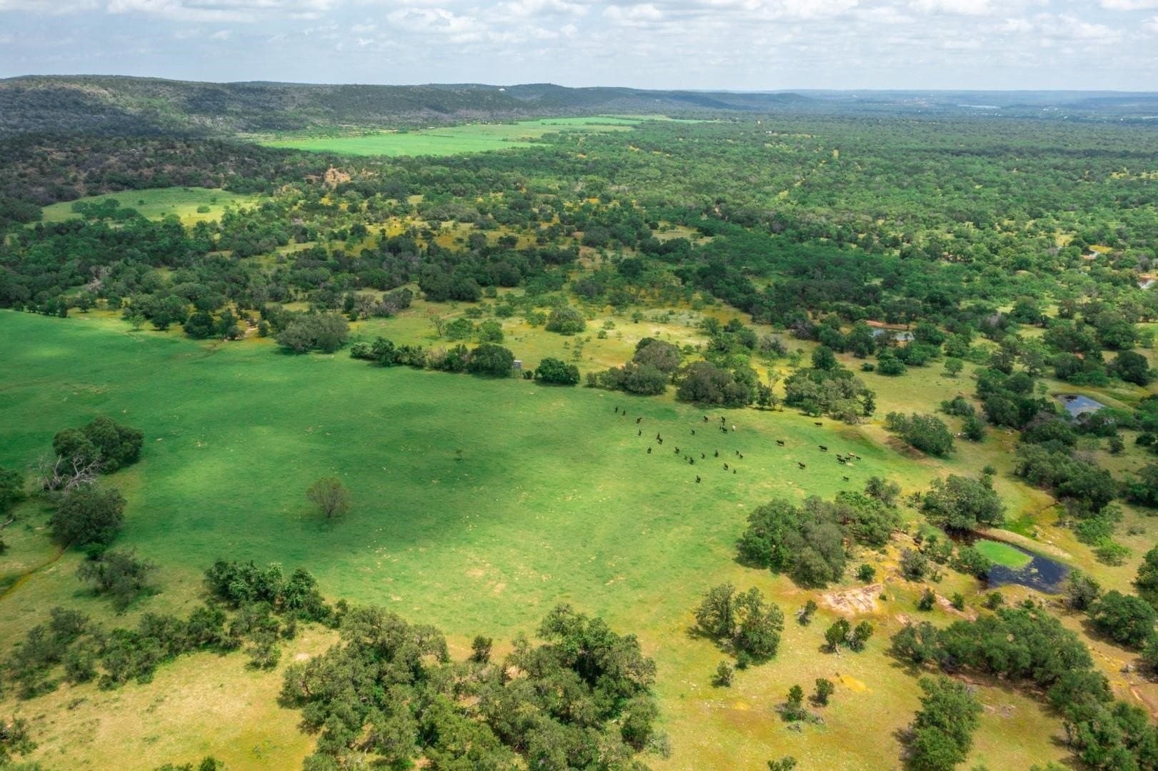 250.4 acres in Llano County - photo 28