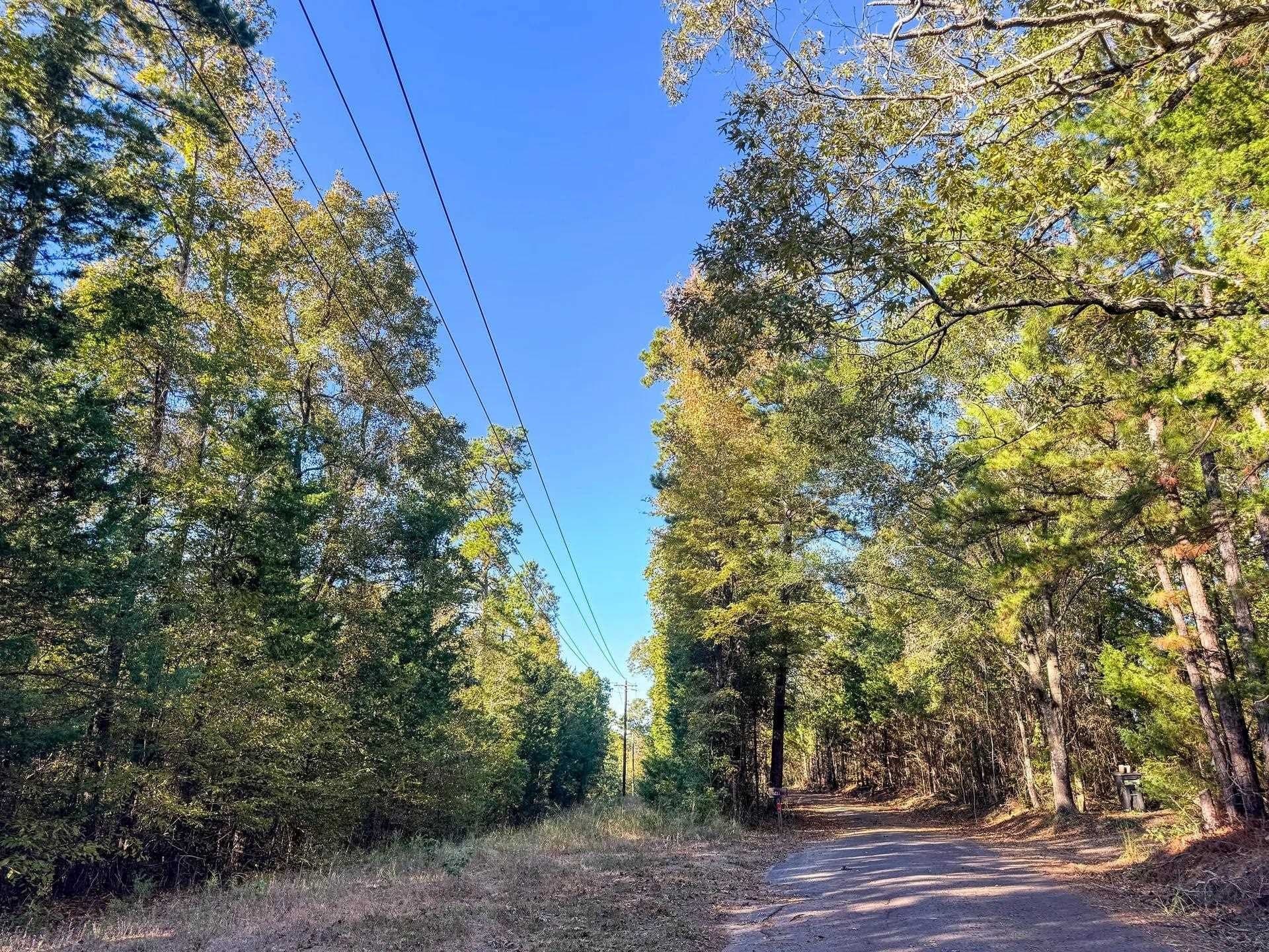 9.19 acres in Cass County - photo 13