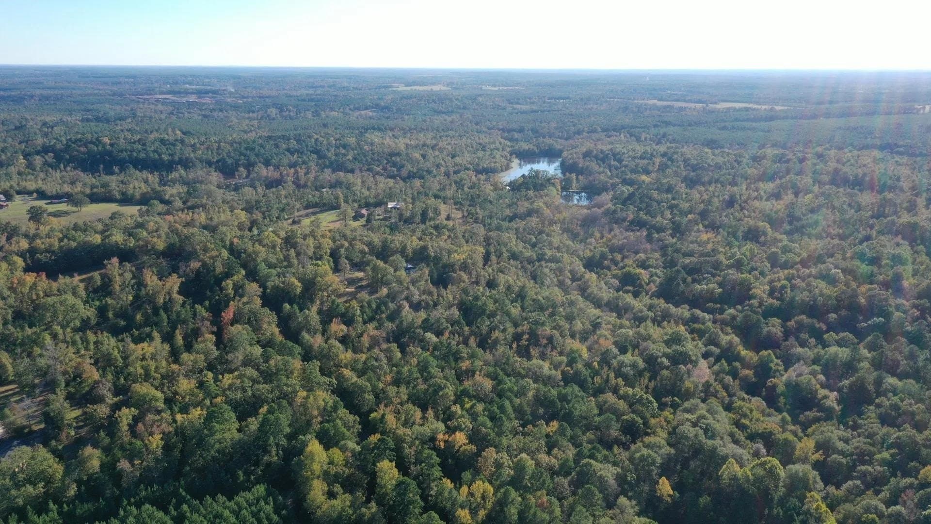 9.19 acres in Cass County gallery image 3
