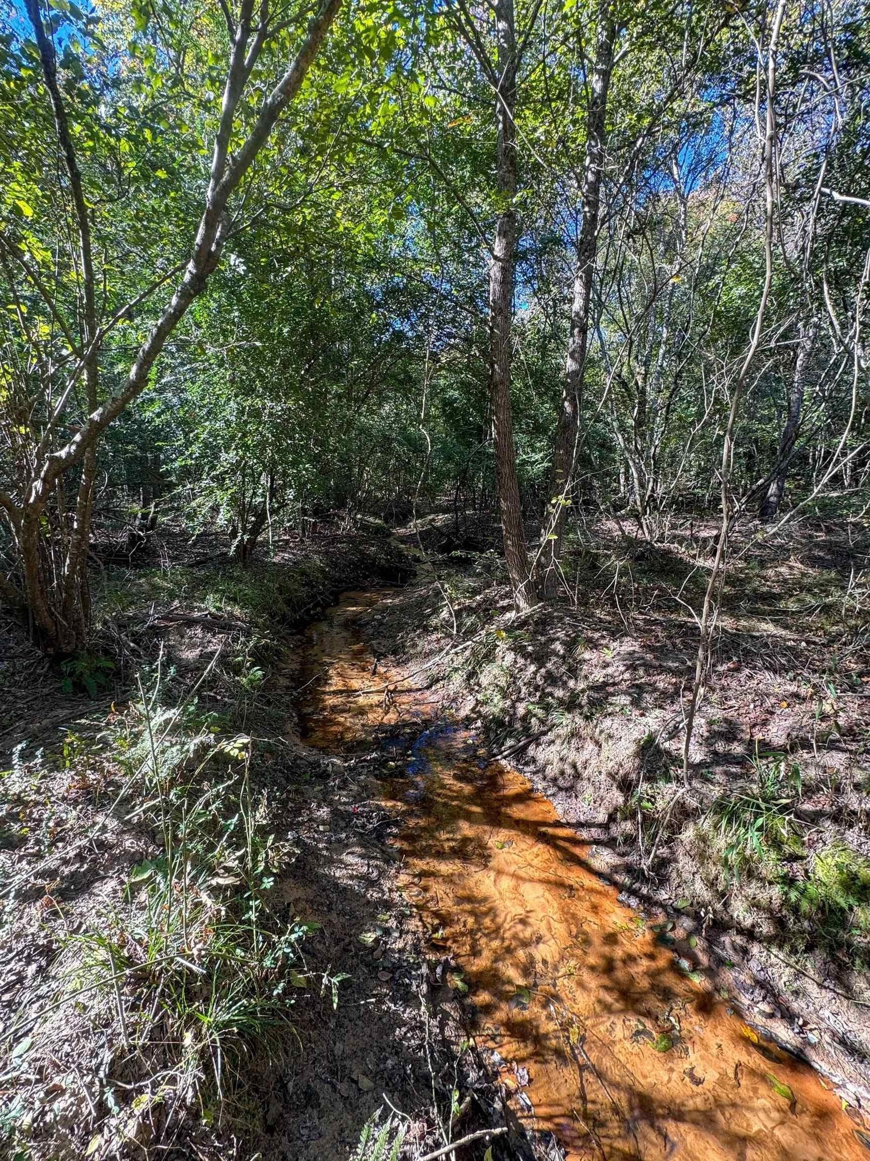 9.19 acres in Cass County - photo 11
